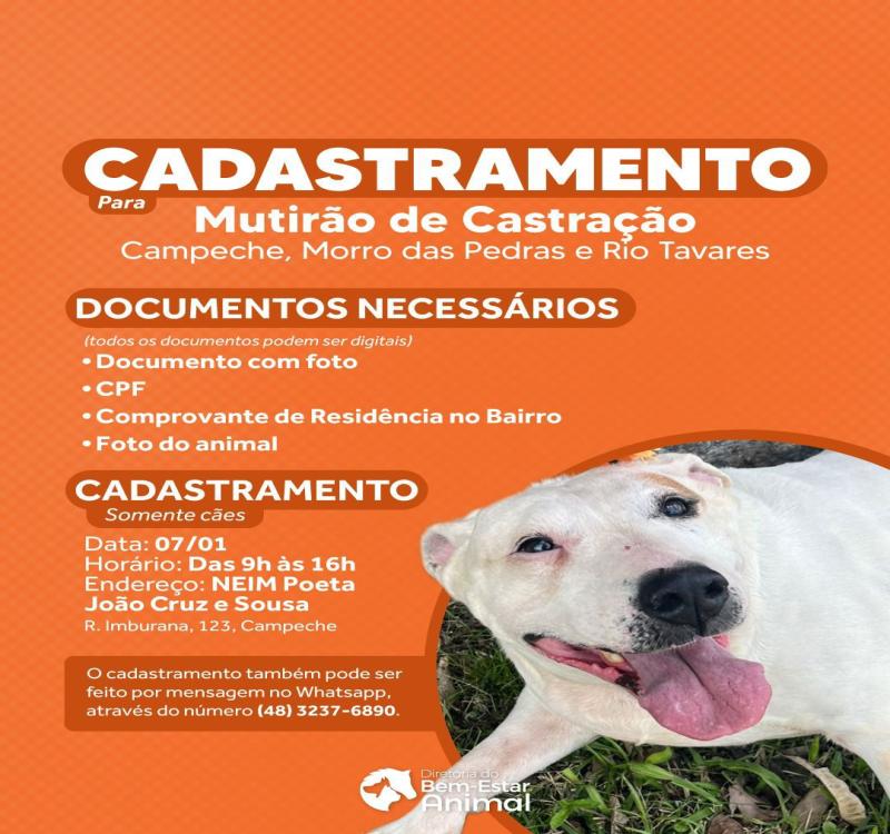 Dibea abre cadastramento para castração de cães no Sul da ilha