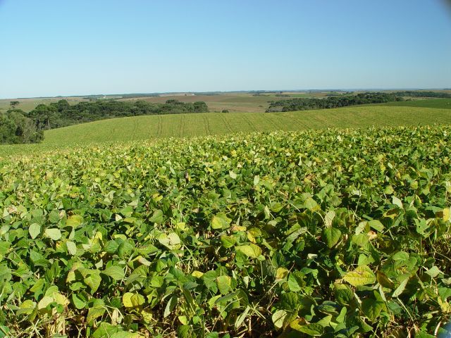 Previsão do tempo: Santa Catarina pode ter La Niña de fraca intensidade entre fevereiro e abril de 2025