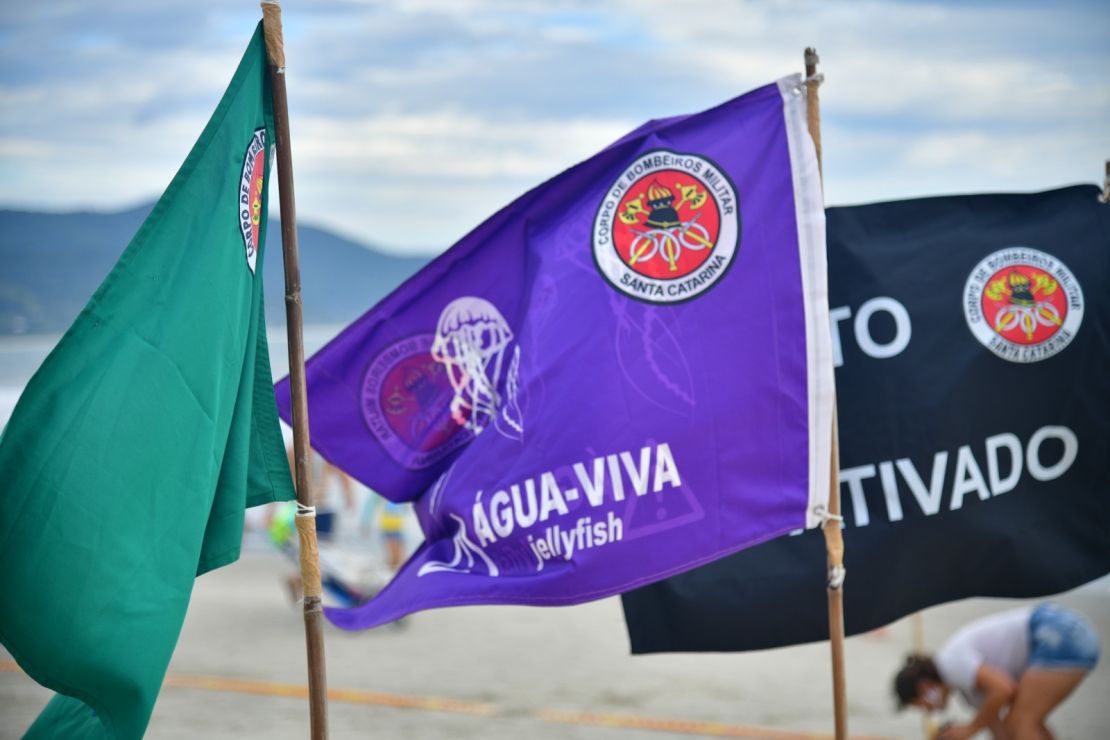 Estação Verão: SC registrou 5,8 mil ocorrências de lesões por água-viva na última semana