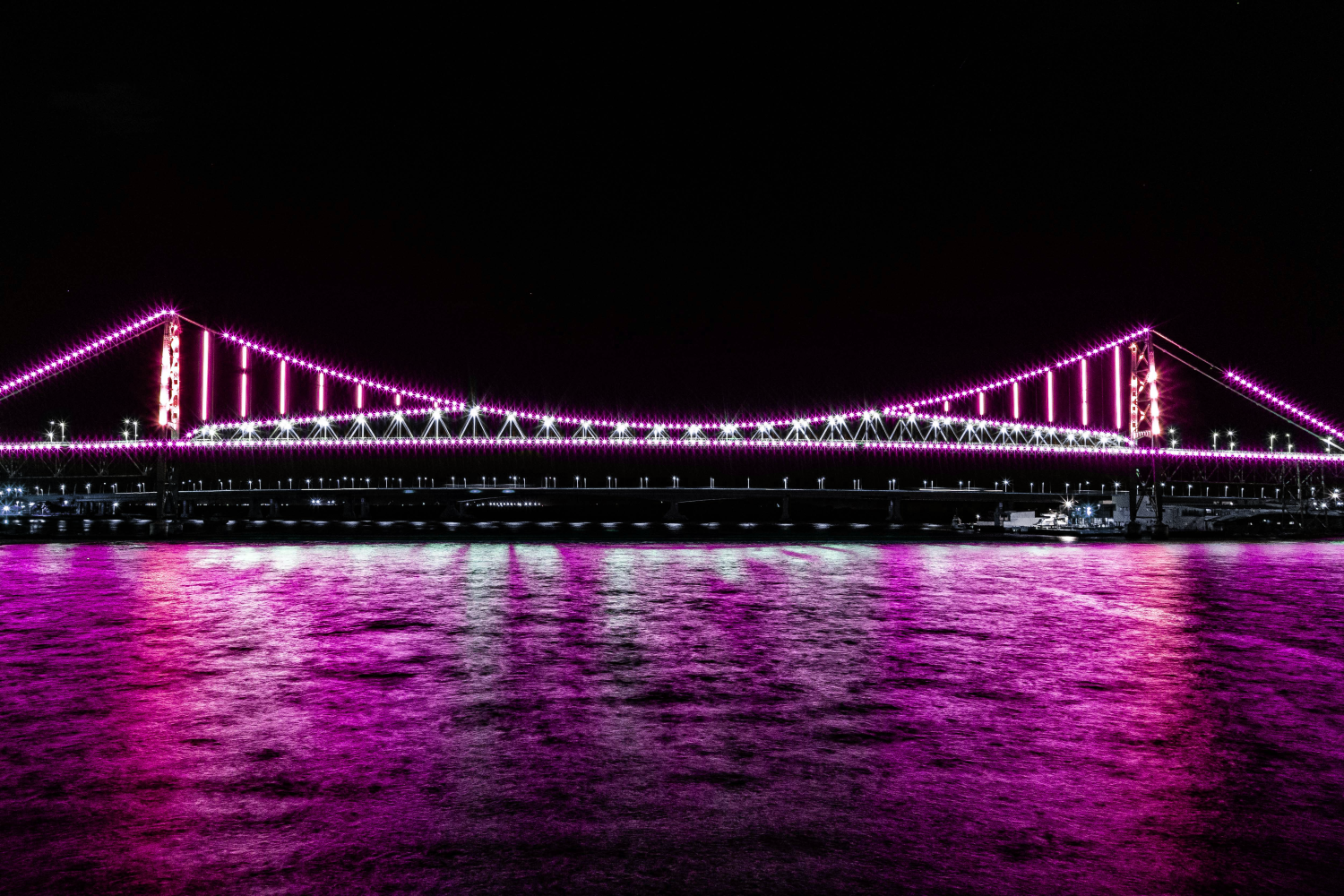 Governo de Santa Catarina divulga cronograma de atividades durante o mês da mulher