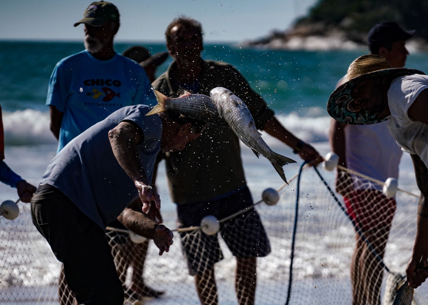 Estado contesta fundamentos da portaria federal que impõe cotas para a pesca da tainha em SC 
